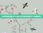 比特币钱包是干什么的-比特币钱包是干什么的软件