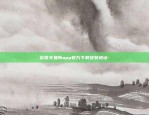 比特币支付流程是什么-比特币支付流程是什么样子的