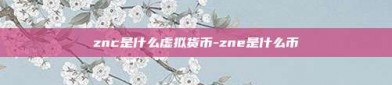 znc是什么虚拟货币-zne是什么币