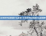 wmr是什么虚拟货币好-wmc是什么币