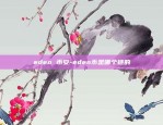 信息怎么录入区块链-信息怎么录入区块链内容