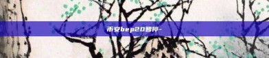 币安bep20暂停-