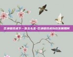 币安链网络配置-