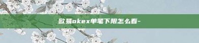 欧易okex单笔下限怎么看-