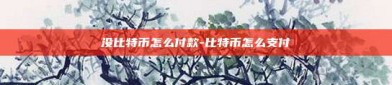 没比特币怎么付款-比特币怎么支付