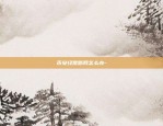 老巫师比特币在哪里买-老巫师比特币在哪里买的