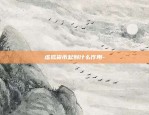 为什么不能虚拟货币交易-为什么不能买虚拟币