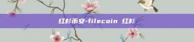 红杉币安-filecoin 红杉