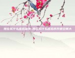 虚拟货币可以拿来做什么-虚拟币可以干什么