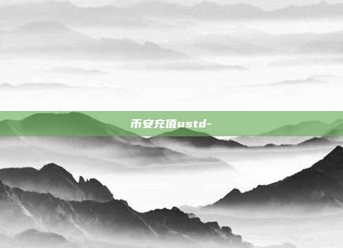 币安充值ustd-