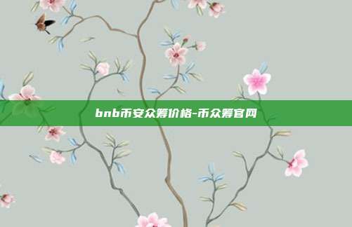 bnb币安众筹价格-币众筹官网