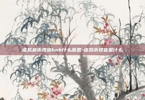 虚拟货币现货bnb什么意思-虚拟币现货是什么