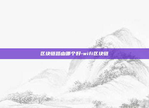 区块链路由哪个好-wifi区块链