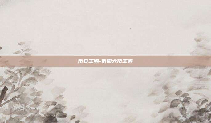 币安王鹏-币圈大佬王鹏