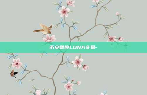 币安暂停LUNA交易-