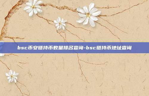 bsc币安链持币数量排名查询-bsc链持币地址查询