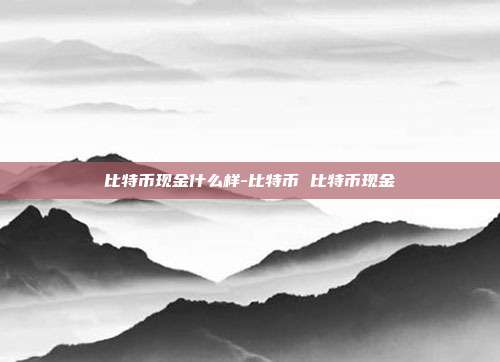 比特币现金什么样-比特币 比特币现金