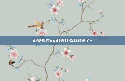 币安买的usdt为什么划转不了-