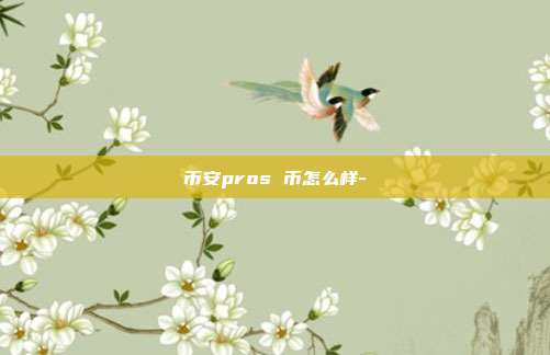 币安pros 币怎么样-