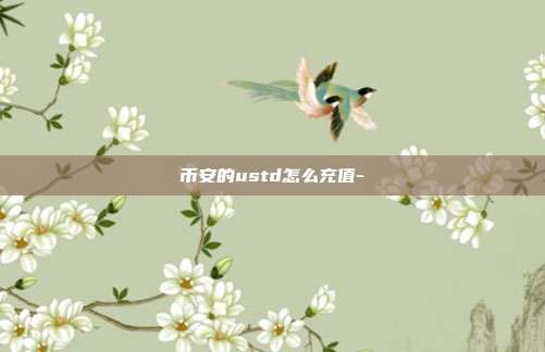 币安的ustd怎么充值-