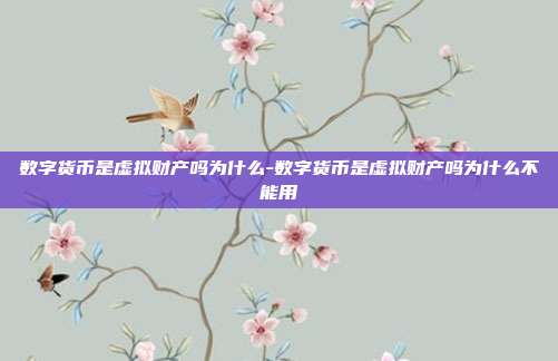 数字货币是虚拟财产吗为什么-数字货币是虚拟财产吗为什么不能用