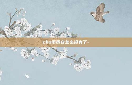 chz币币安怎么没有了-