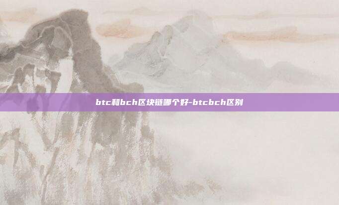 btc和bch区块链哪个好-btcbch区别