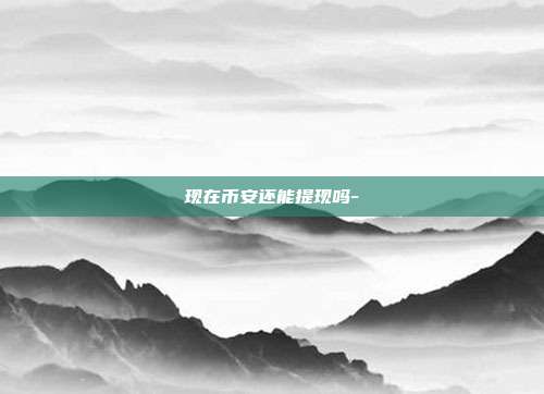 现在币安还能提现吗-