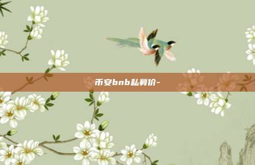 币安bnb私募价-