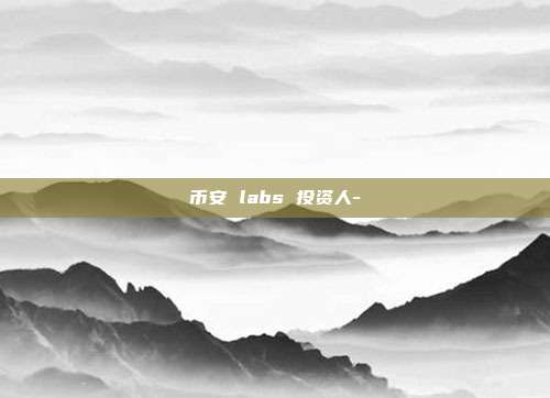 币安 labs 投资人-