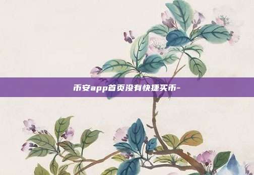 币安app首页没有快捷买币-