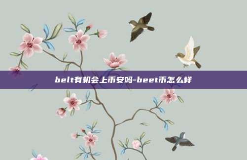 belt有机会上币安吗-beet币怎么样