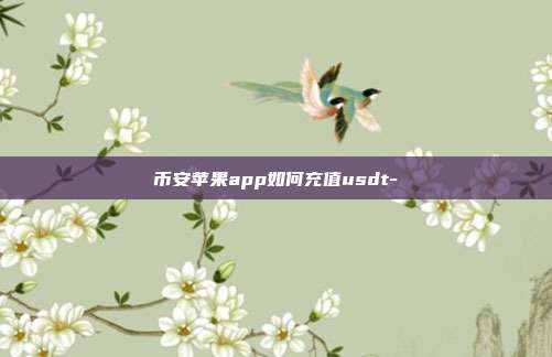 币安苹果app如何充值usdt-