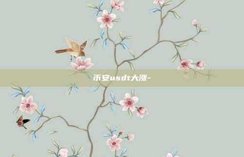 币安usdt大涨-