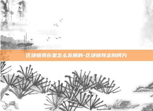 区块链现在是怎么发展的-区块链将走向何方