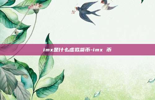 imx是什么虚拟货币-imx 币