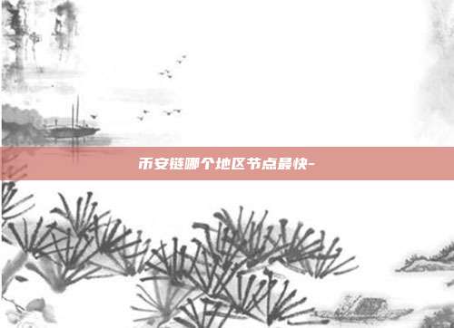 币安链哪个地区节点最快-