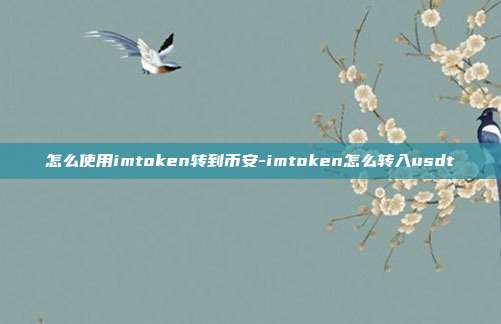 怎么使用imtoken转到币安-imtoken怎么转入usdt