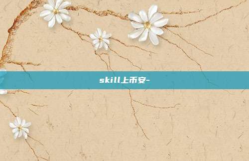 skill上币安-