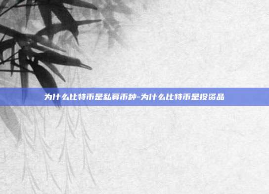 为什么比特币是私募币种-为什么比特币是投资品