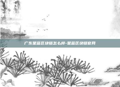 广东星蓝区块链怎么样-星蓝区块链官网