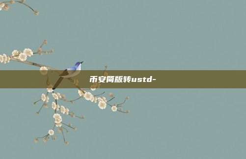 币安简版转ustd-