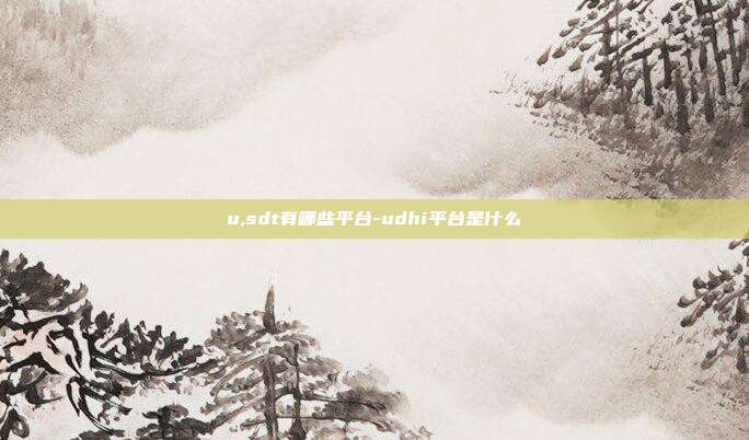 u,sdt有哪些平台-udhi平台是什么