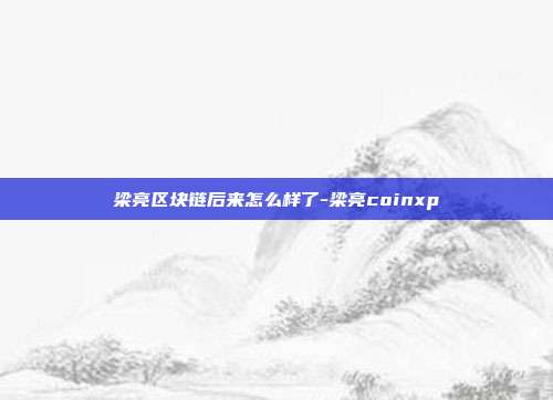 梁亮区块链后来怎么样了-梁亮coinxp