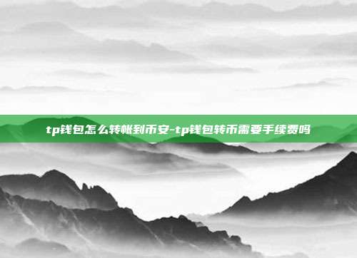 tp钱包怎么转帐到币安-tp钱包转币需要手续费吗