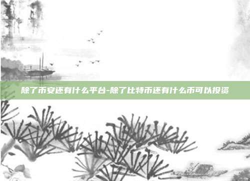 除了币安还有什么平台-除了比特币还有什么币可以投资