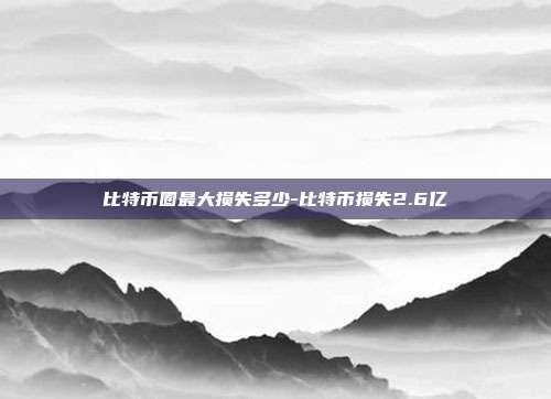 比特币圈最大损失多少-比特币损失2.6亿