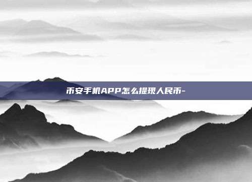 币安手机APP怎么提现人民币-