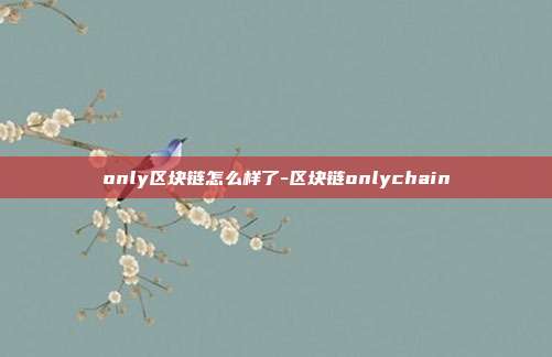 only区块链怎么样了-区块链onlychain