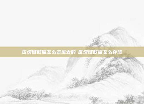 区块链数据怎么装进去的-区块链数据怎么存储